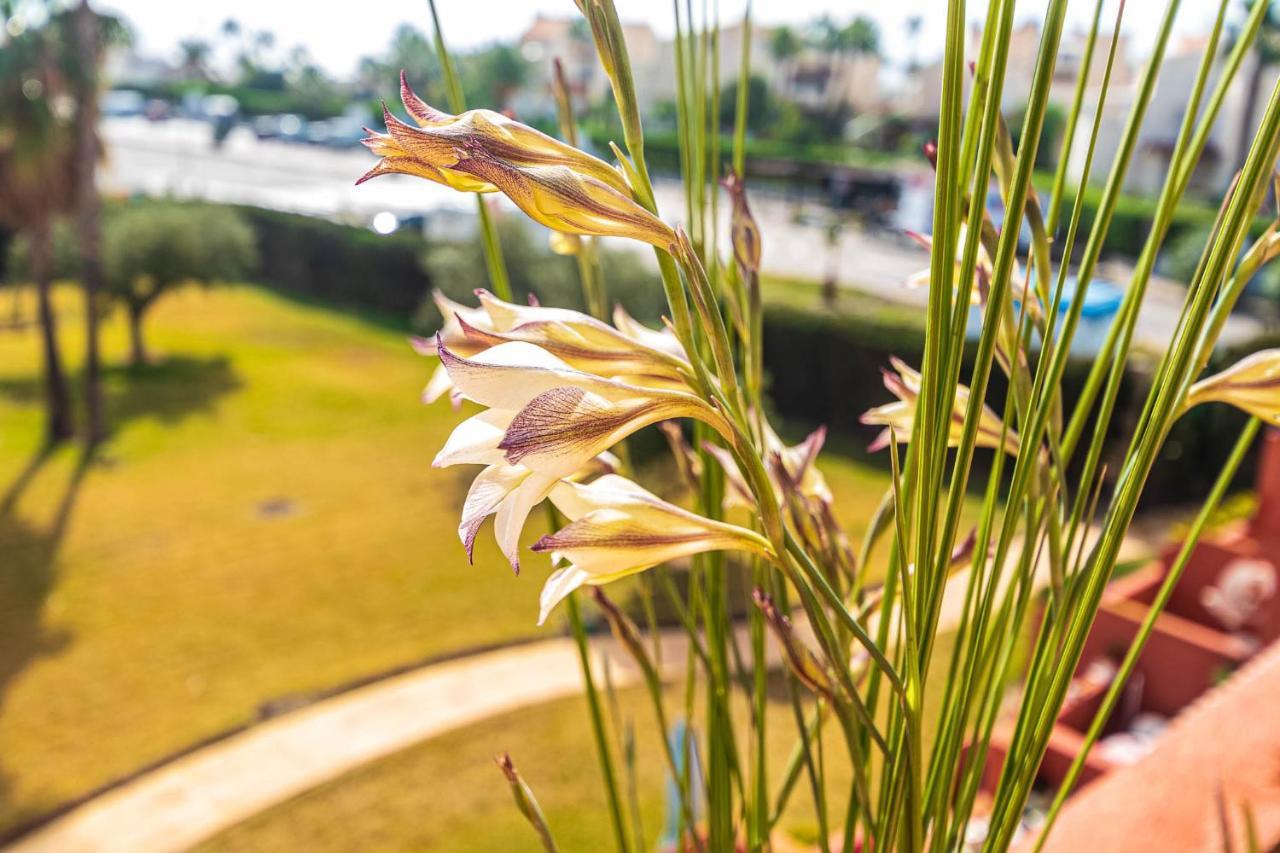 Vera Buda Natura. Atico Apartamento Con Vistas Al Mar. Playas de Vera Buitenkant foto